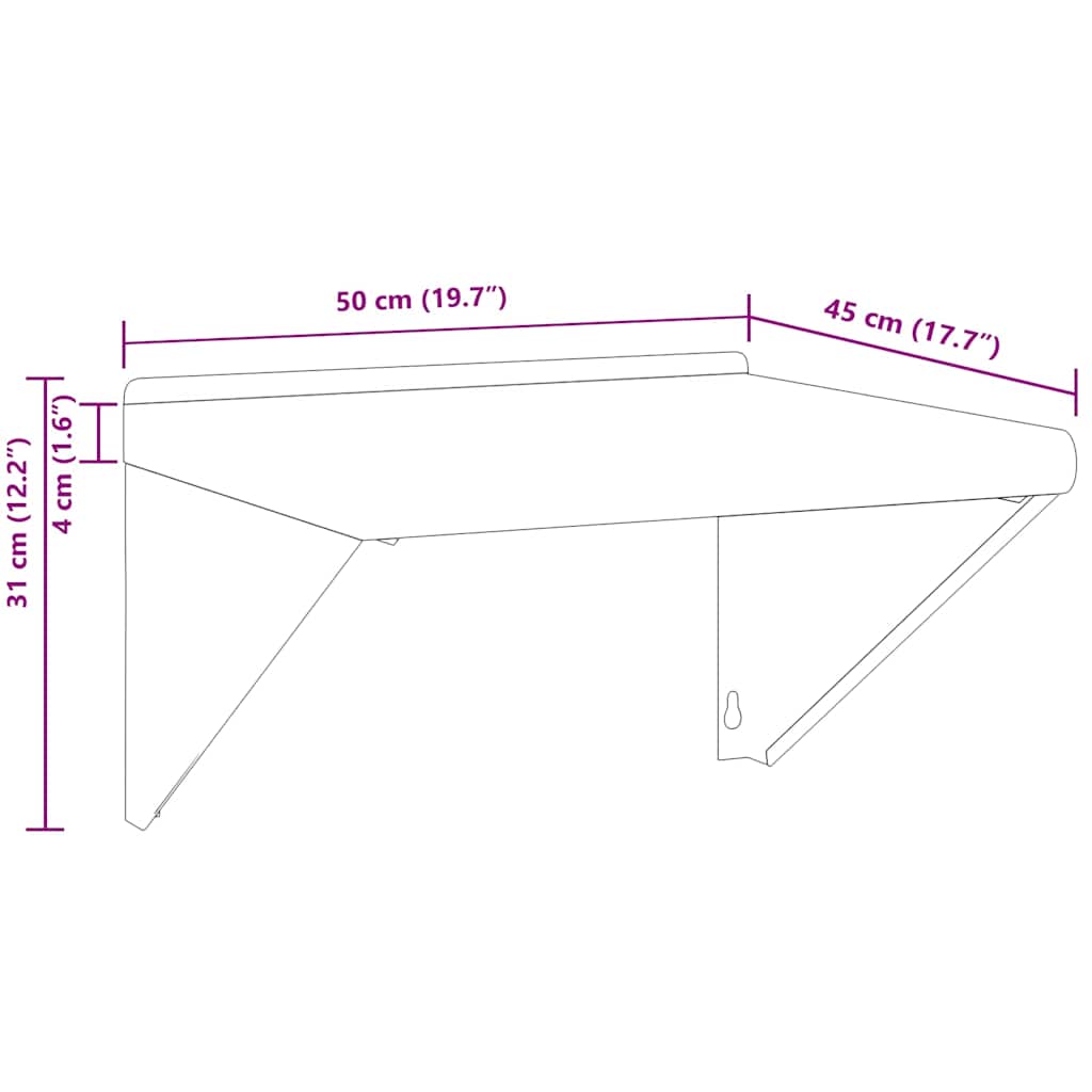 Wandschap 50x45x31 cm roestvrijstaal zilverkleurig is nu te koop bij PeponiXL, paradijselijk wonen!