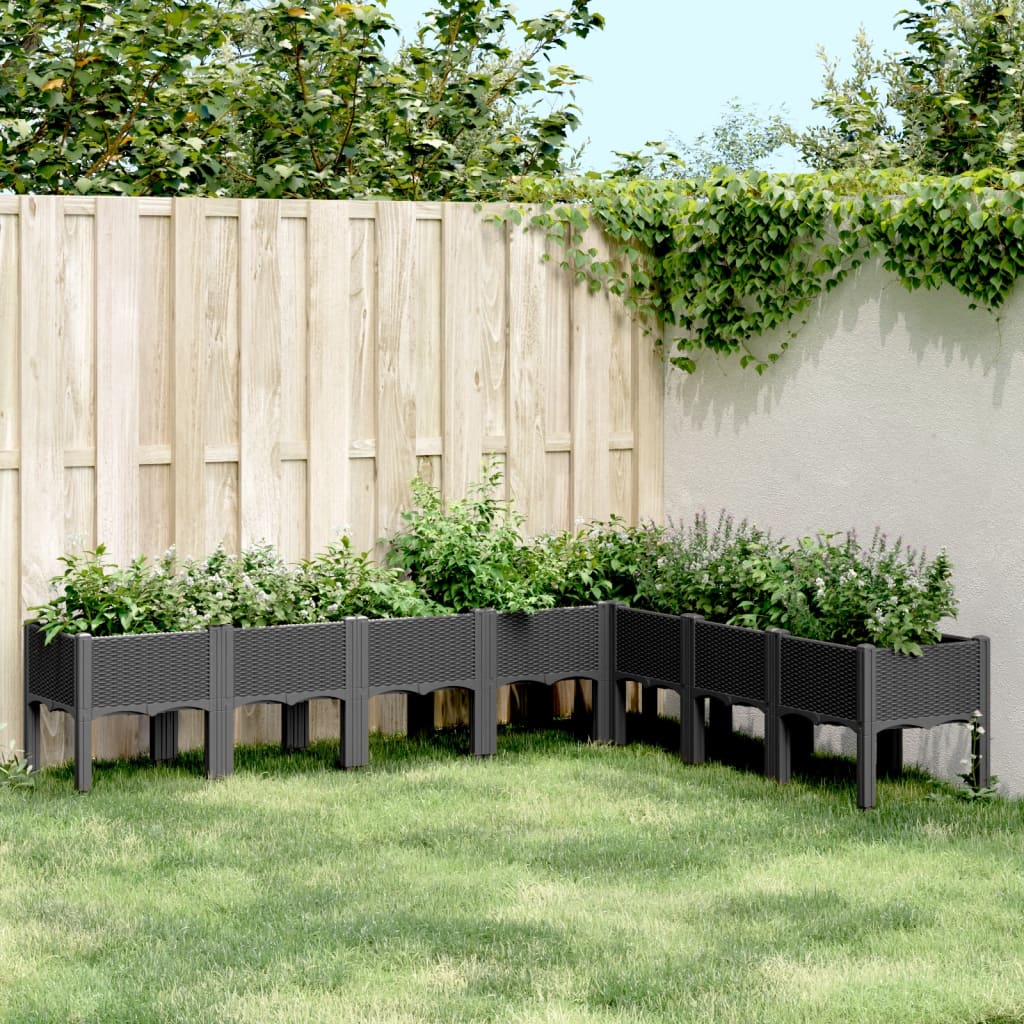 Plantenbak met poten 200x160x42 cm polypropeen zwart