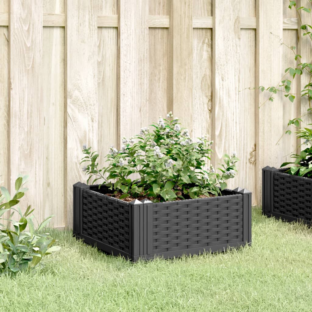 Plantenbak met pinnen 42,5x42,5x28,5 cm polypropeen zwart is nu te koop bij PeponiXL, paradijselijk wonen!
