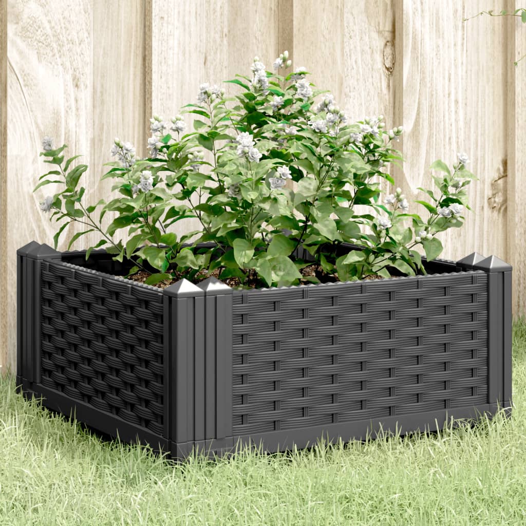 Plantenbak met pinnen 42,5x42,5x28,5 cm polypropeen zwart is nu te koop bij PeponiXL, paradijselijk wonen!