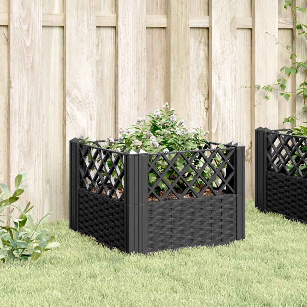 Plantenbak met pinnen 43,5x43,5x43,5 cm polypropeen zwart is nu te koop bij PeponiXL, paradijselijk wonen!