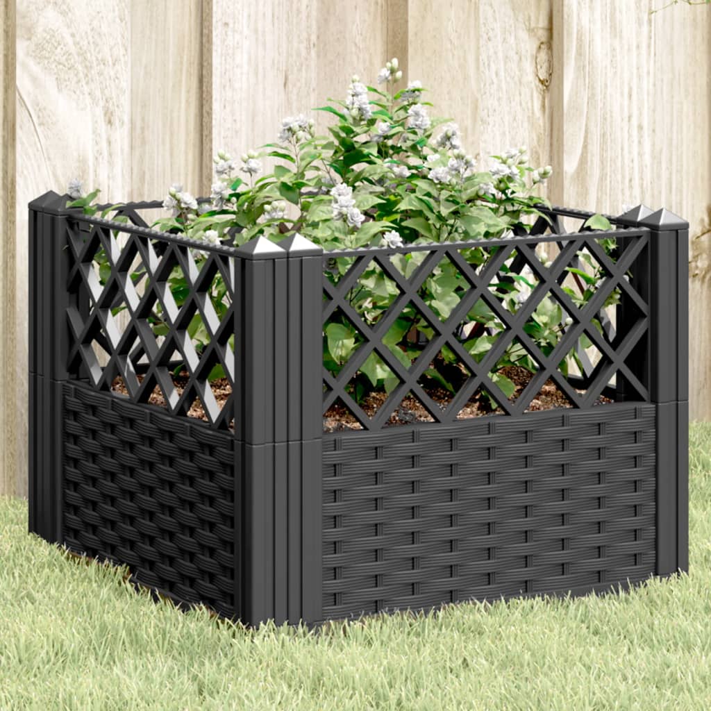 Plantenbak met pinnen 43,5x43,5x43,5 cm polypropeen zwart is nu te koop bij PeponiXL, paradijselijk wonen!