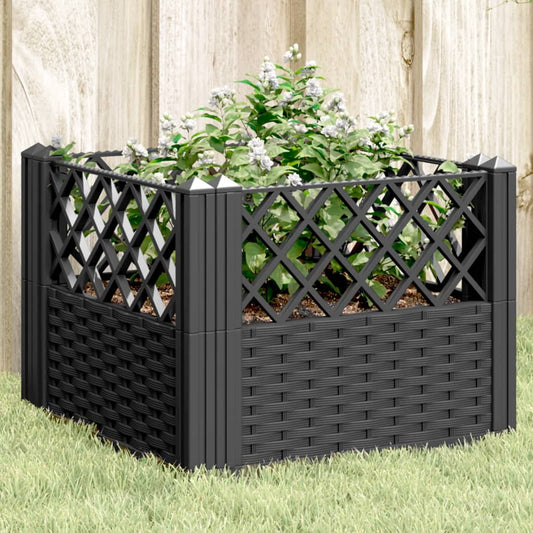 Plantenbak met pinnen 43,5x43,5x43,5 cm polypropeen zwart is nu te koop bij PeponiXL, paradijselijk wonen!