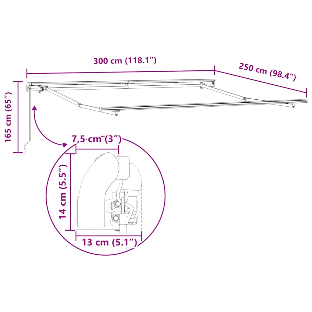 Luifel handmatig uittrekbaar 300x250 cm bruin is nu te koop bij PeponiXL, paradijselijk wonen!