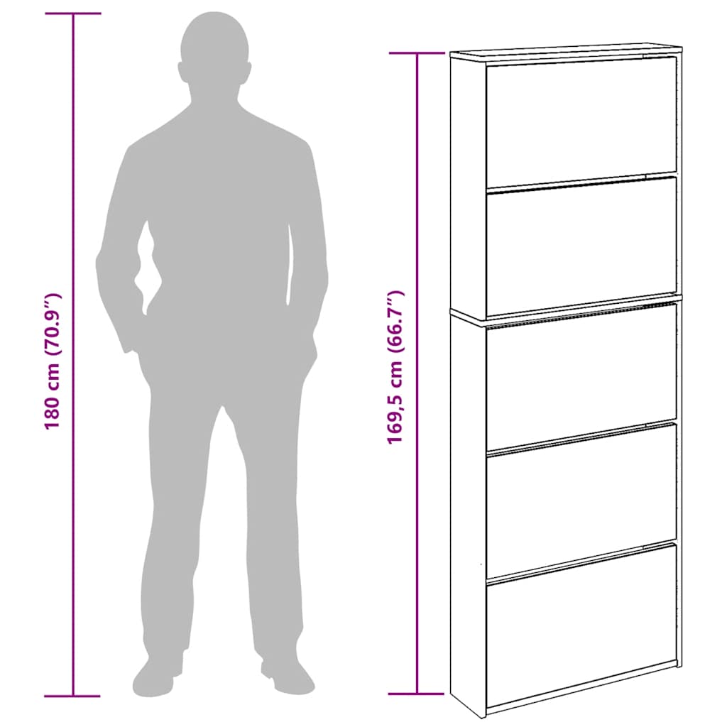 Schoenenkast met spiegel 5-laags 63x17x169,5 cm zwart