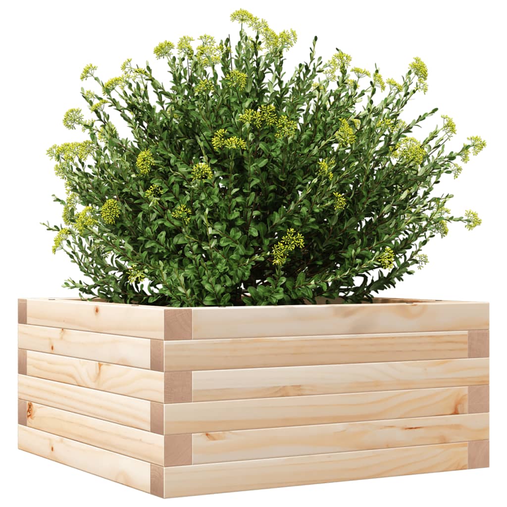 Plantenbak 50x50x23 cm massief grenenhout is nu te koop bij PeponiXL, paradijselijk wonen!