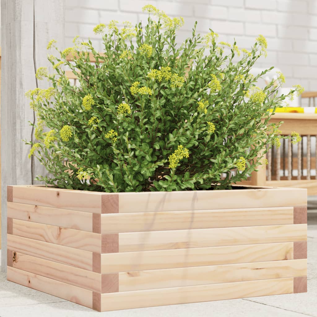 Plantenbak 50x50x23 cm massief grenenhout is nu te koop bij PeponiXL, paradijselijk wonen!