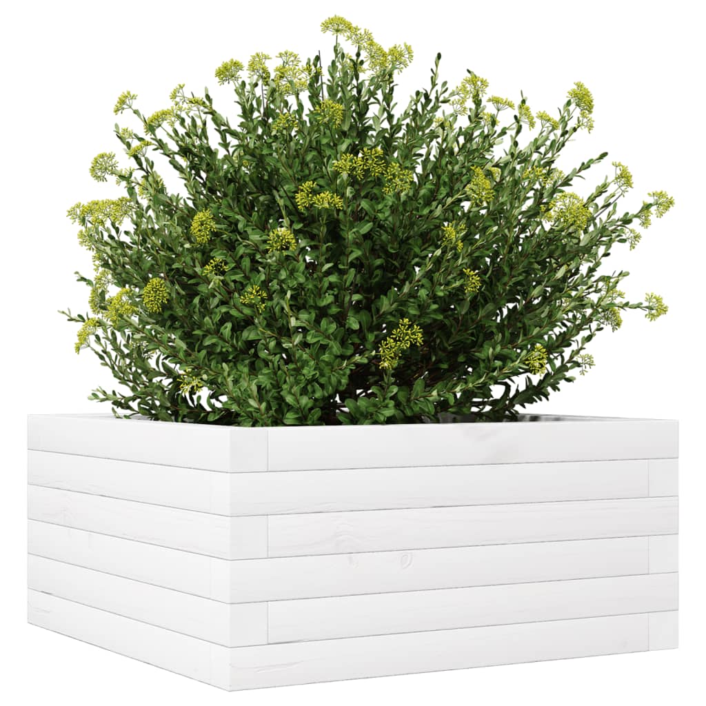 Plantenbak 50x50x23 cm massief grenenhout wit is nu te koop bij PeponiXL, paradijselijk wonen!