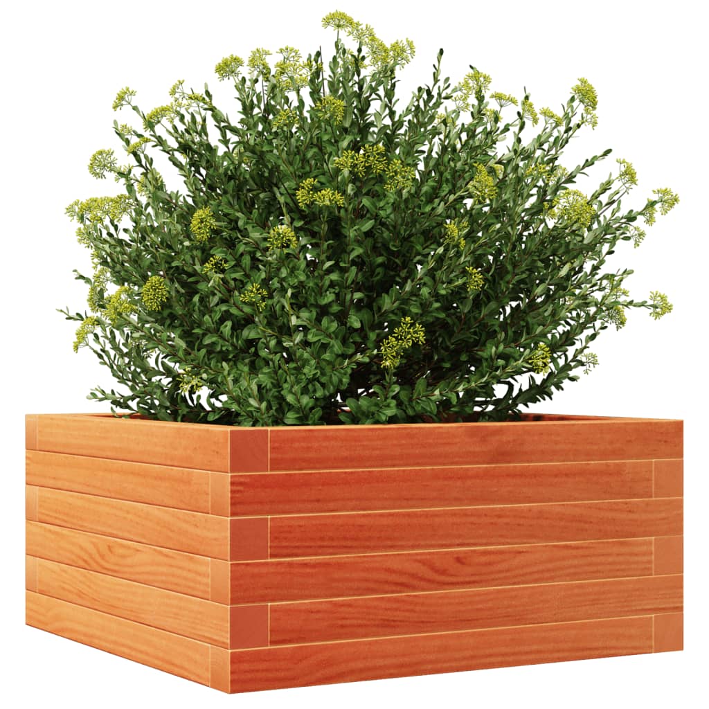 Plantenbak 50x50x23 cm massief grenenhout wasbruin is nu te koop bij PeponiXL, paradijselijk wonen!