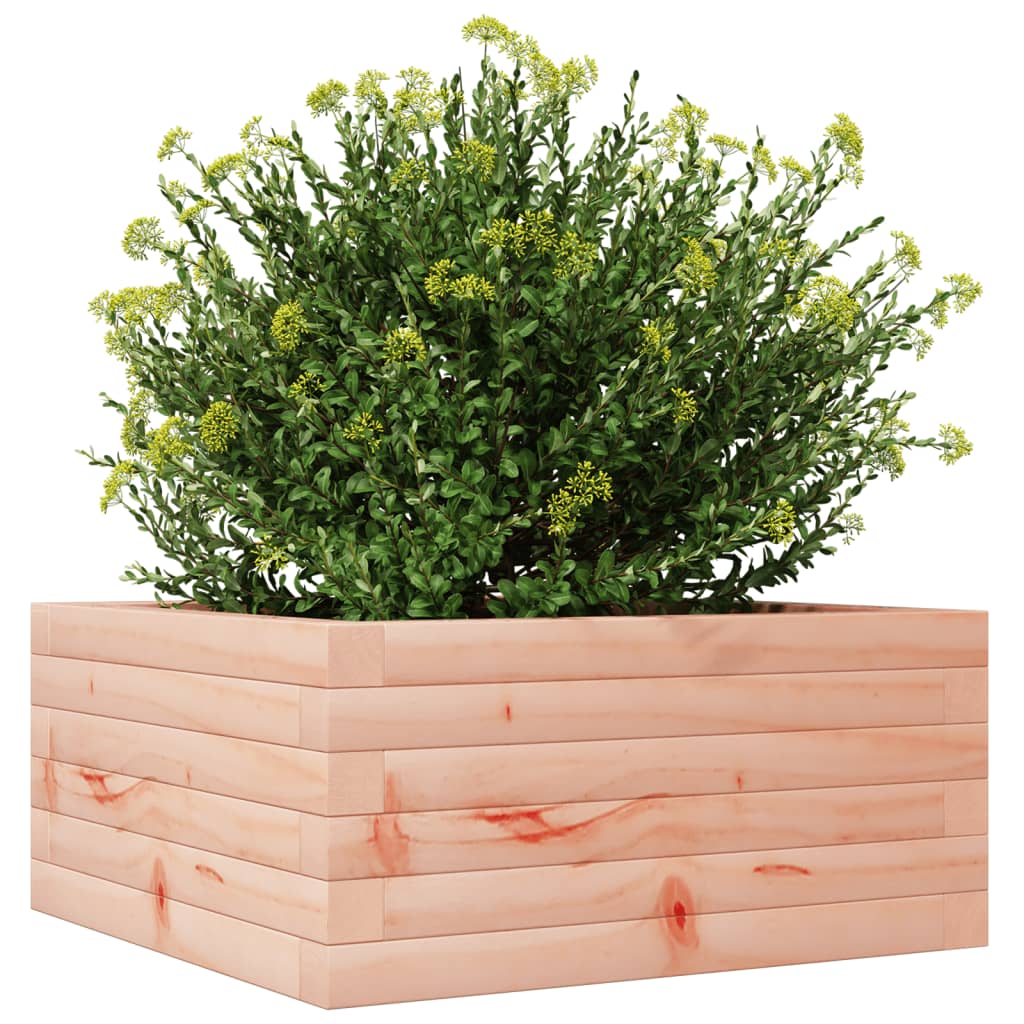 Plantenbak 50x50x23 cm massief douglashout is nu te koop bij PeponiXL, paradijselijk wonen!