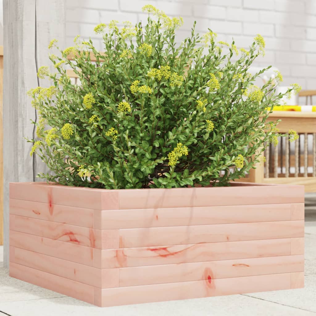Plantenbak 50x50x23 cm massief douglashout is nu te koop bij PeponiXL, paradijselijk wonen!