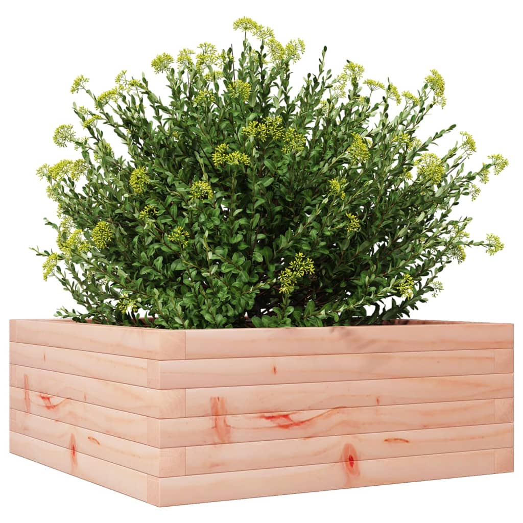 Plantenbak 60x60x23 cm massief douglashout is nu te koop bij PeponiXL, paradijselijk wonen!