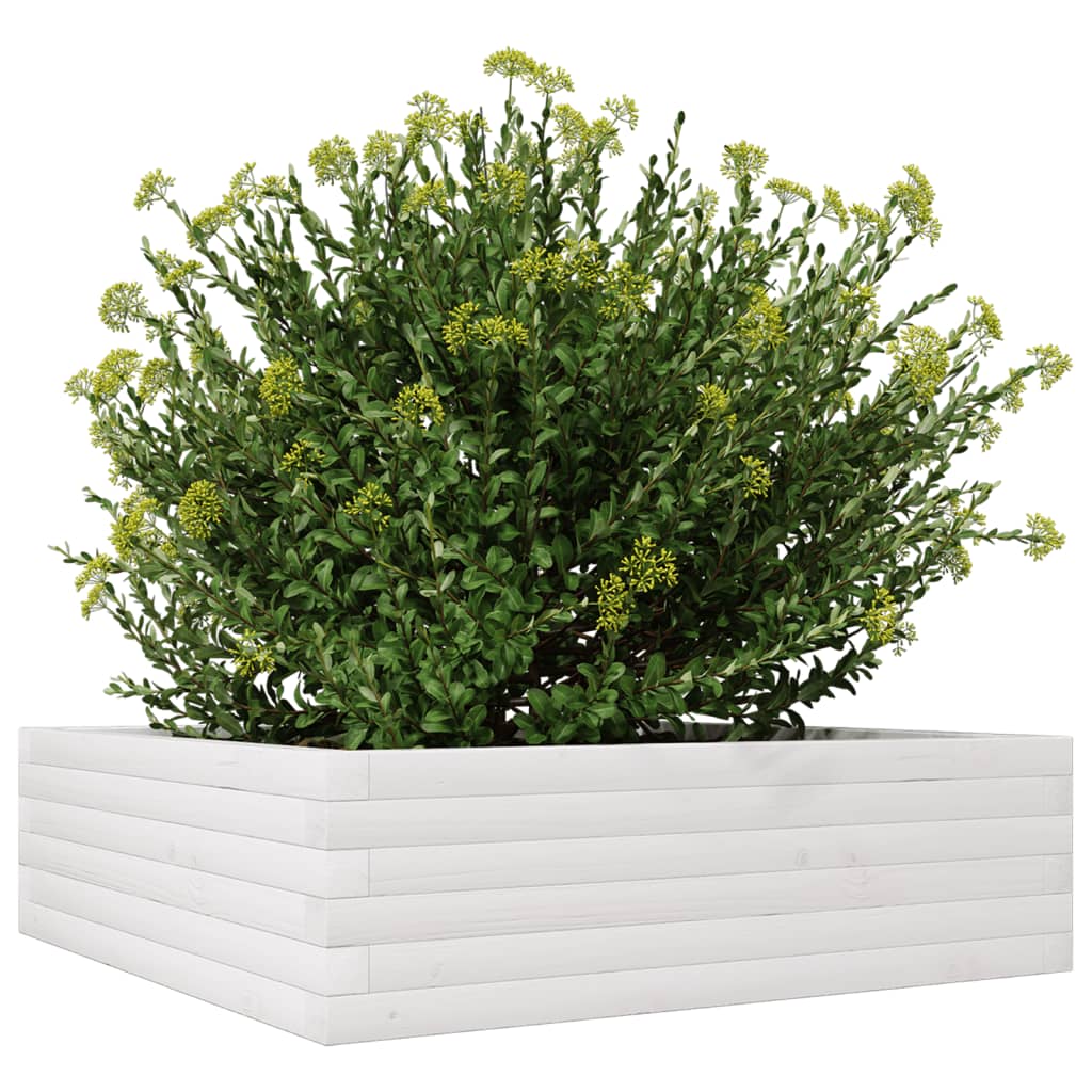 Plantenbak 80x80x23 cm massief grenenhout wit is nu te koop bij PeponiXL, paradijselijk wonen!