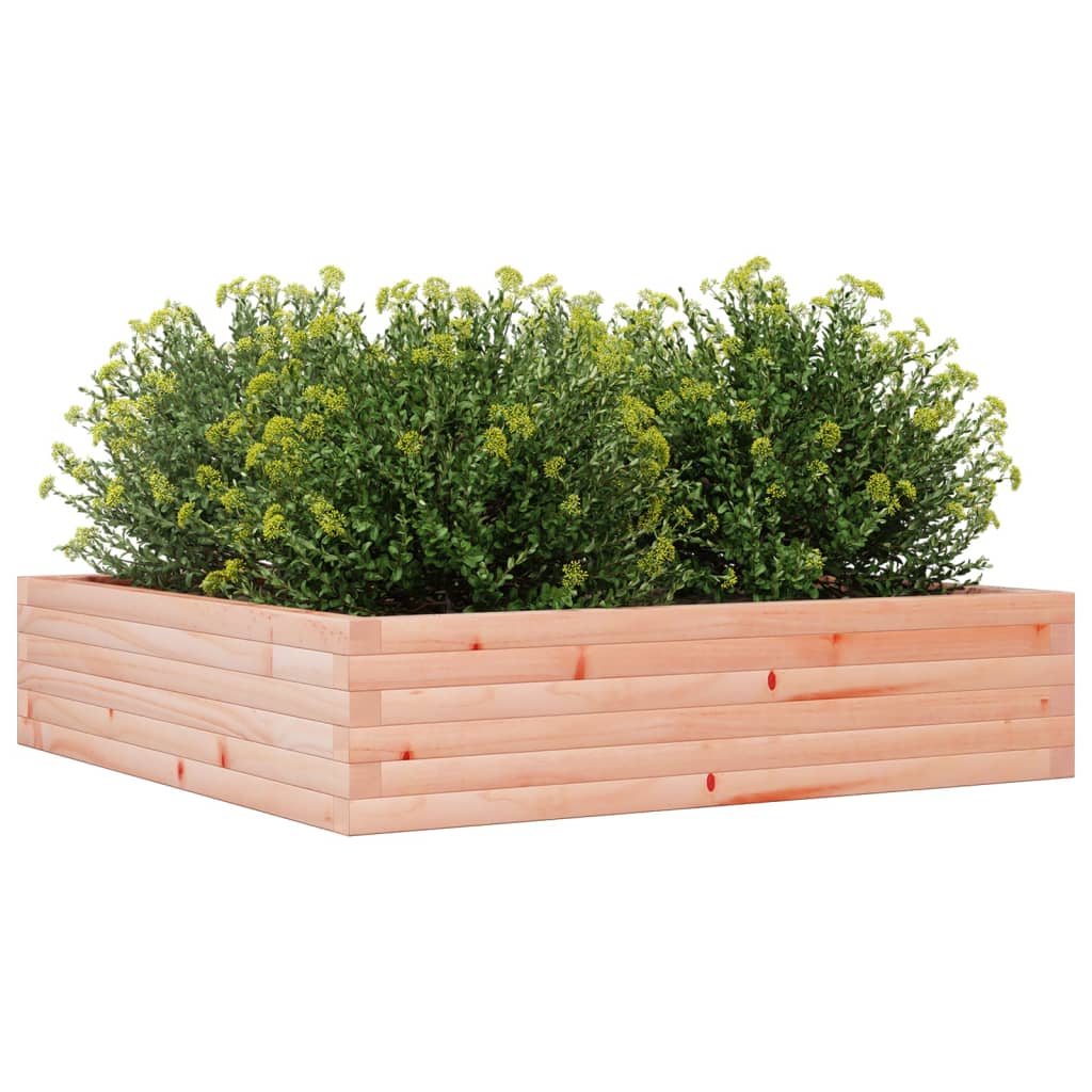 Plantenbak 100x100x23 cm massief douglashout is nu te koop bij PeponiXL, paradijselijk wonen!