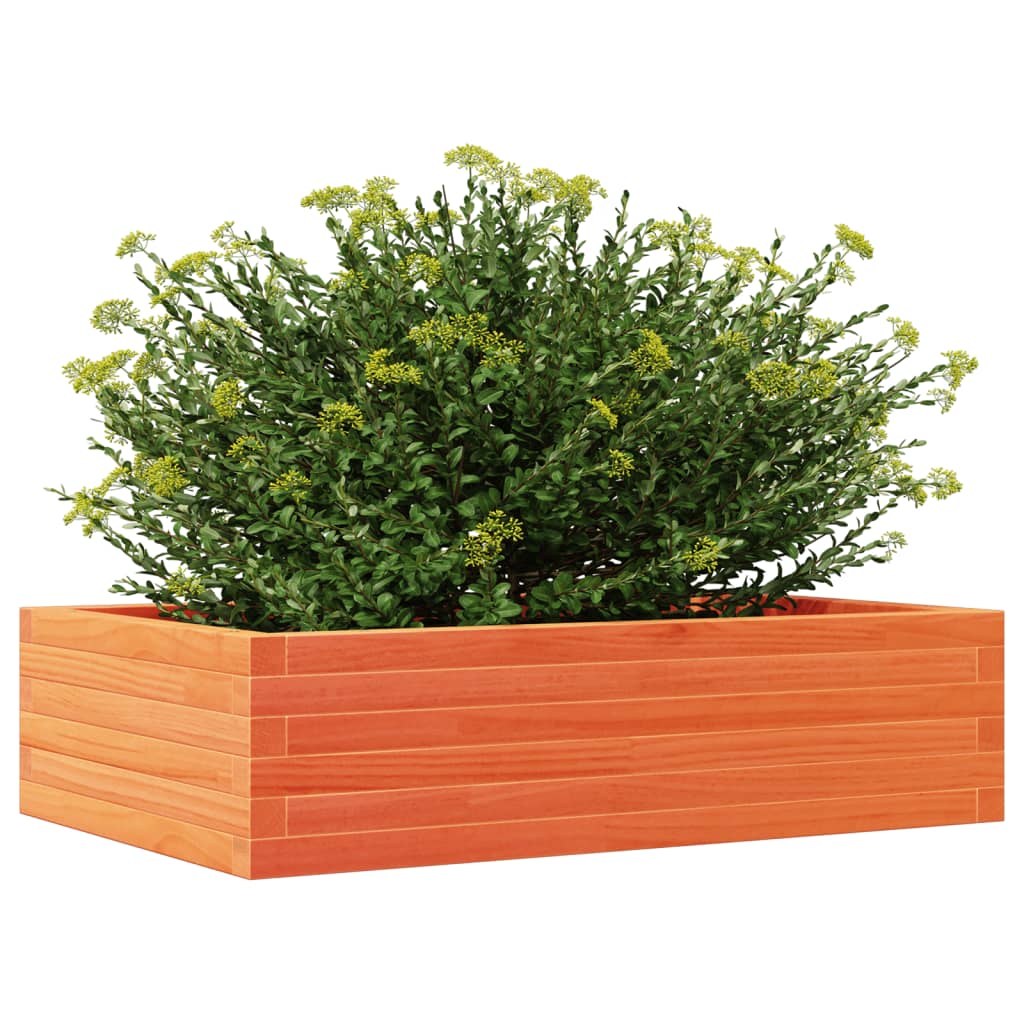Plantenbak 90x60x23 cm massief grenenhout wasbruin is nu te koop bij PeponiXL, paradijselijk wonen!