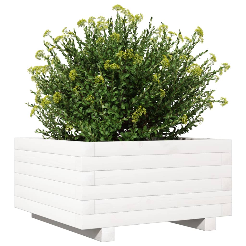 Plantenbak 50x50x26,5 cm massief grenenhout wit is nu te koop bij PeponiXL, paradijselijk wonen!