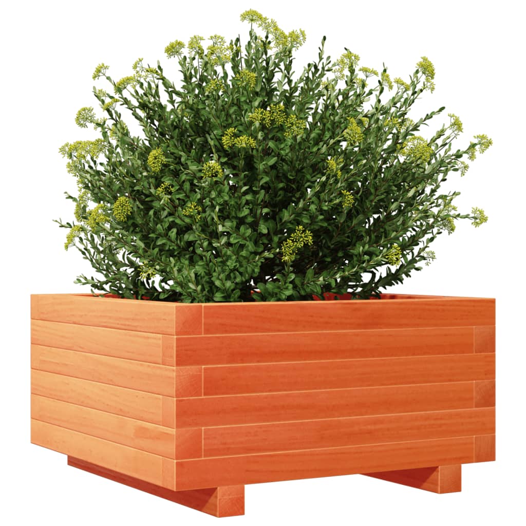 Plantenbak 50x50x26,5 cm massief grenenhout wasbruin is nu te koop bij PeponiXL, paradijselijk wonen!
