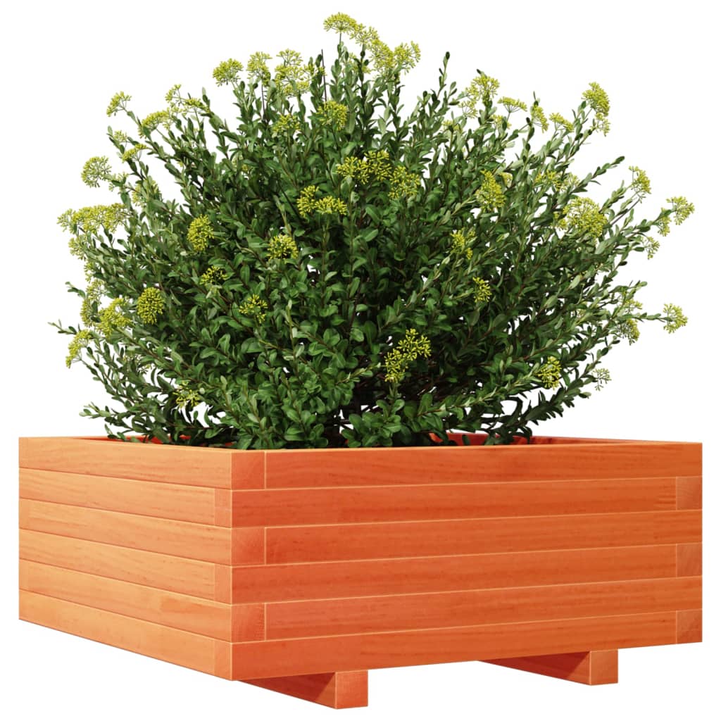 Plantenbak 60x60x26,5 cm massief grenenhout wasbruin is nu te koop bij PeponiXL, paradijselijk wonen!