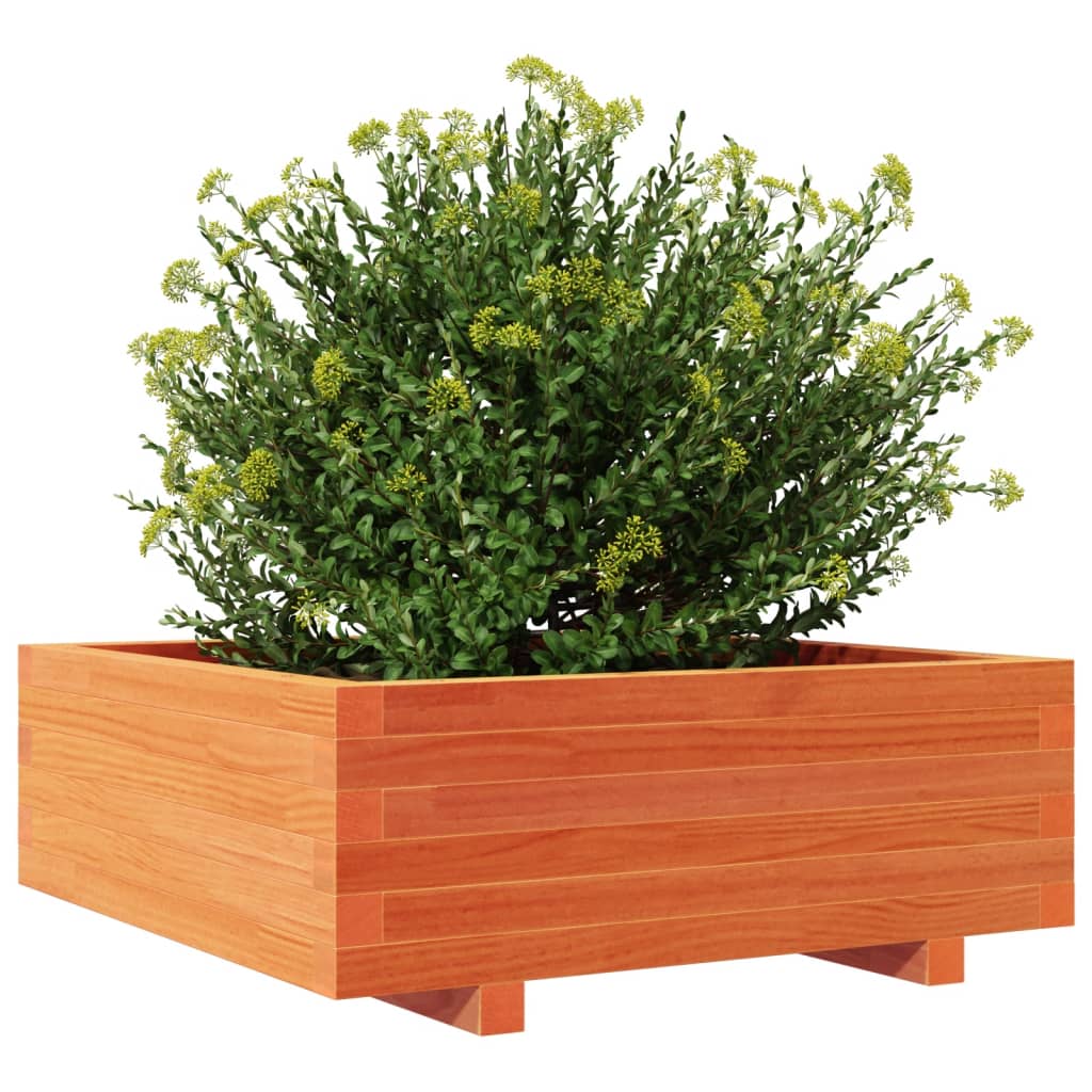 Plantenbak 70x70x26,5 cm massief grenenhout wasbruin is nu te koop bij PeponiXL, paradijselijk wonen!