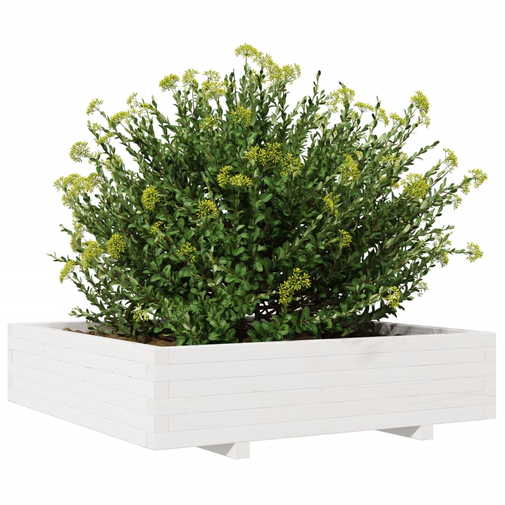 Plantenbak 100x100x26,5 cm massief grenenhout wit is nu te koop bij PeponiXL, paradijselijk wonen!