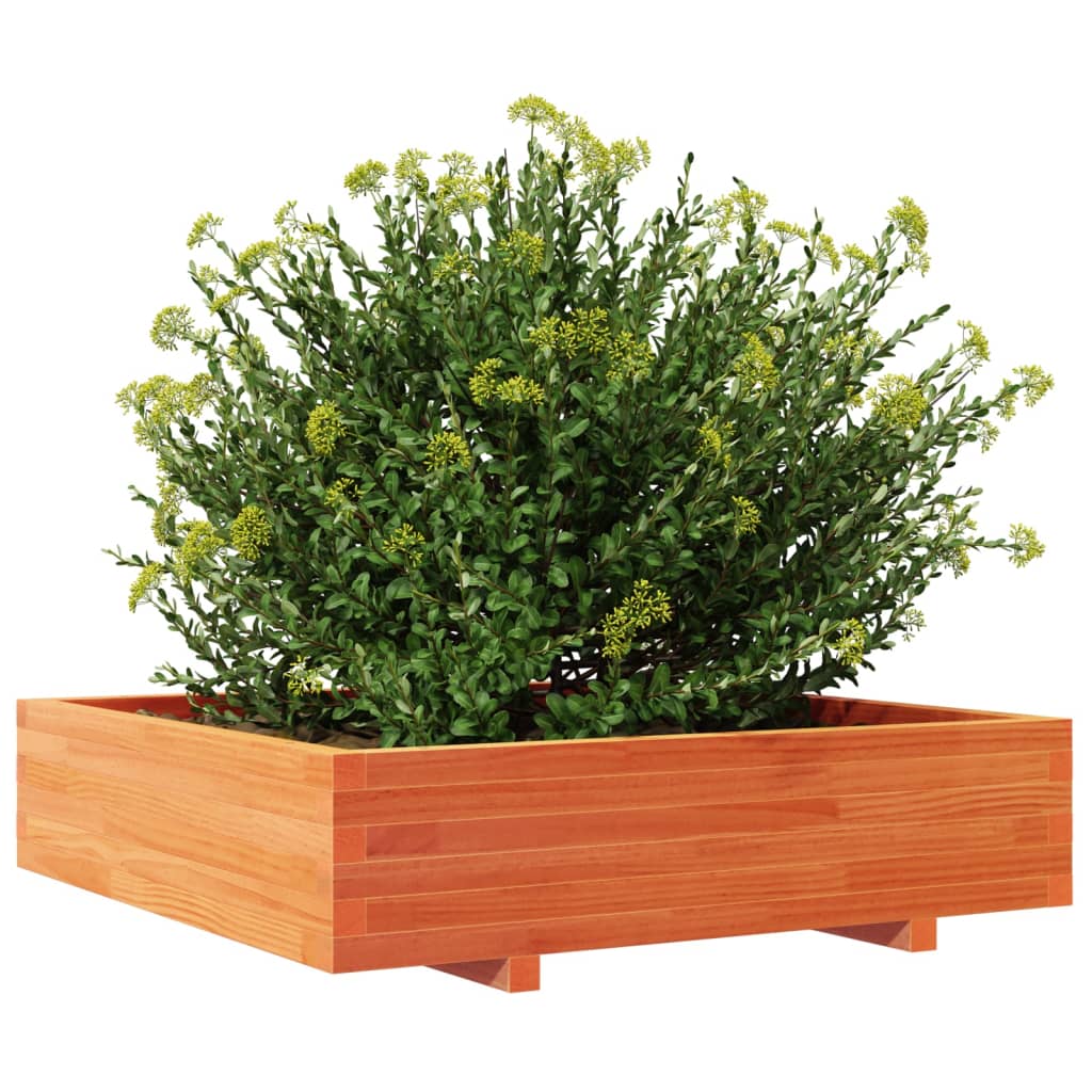Plantenbak 100x100x26,5 cm massief grenenhout wasbruin is nu te koop bij PeponiXL, paradijselijk wonen!