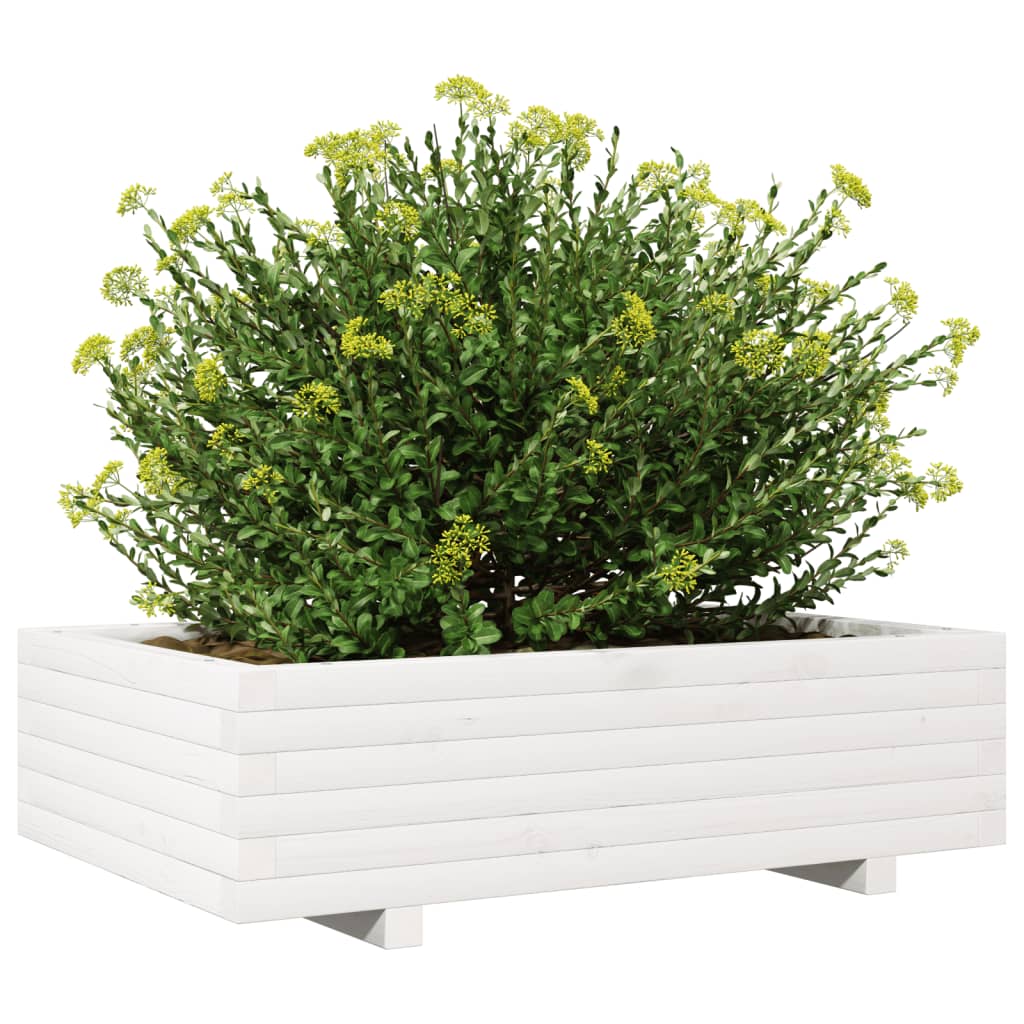 Plantenbak 90x60x26,5 cm massief grenenhout wit is nu te koop bij PeponiXL, paradijselijk wonen!