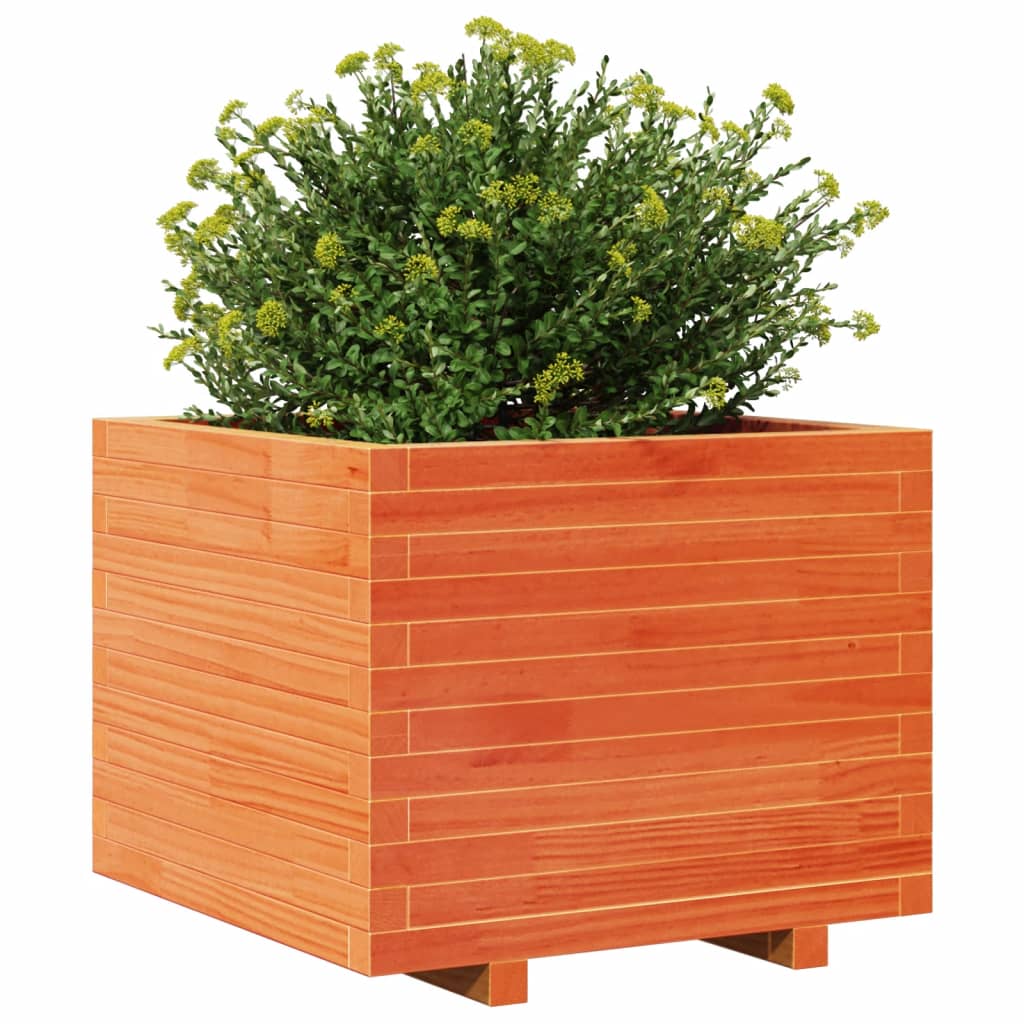 Plantenbak 60x60x49,5 cm massief grenenhout wasbruin is nu te koop bij PeponiXL, paradijselijk wonen!