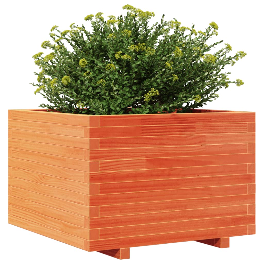 Plantenbak 70x70x49,5 cm massief grenenhout wasbruin is nu te koop bij PeponiXL, paradijselijk wonen!