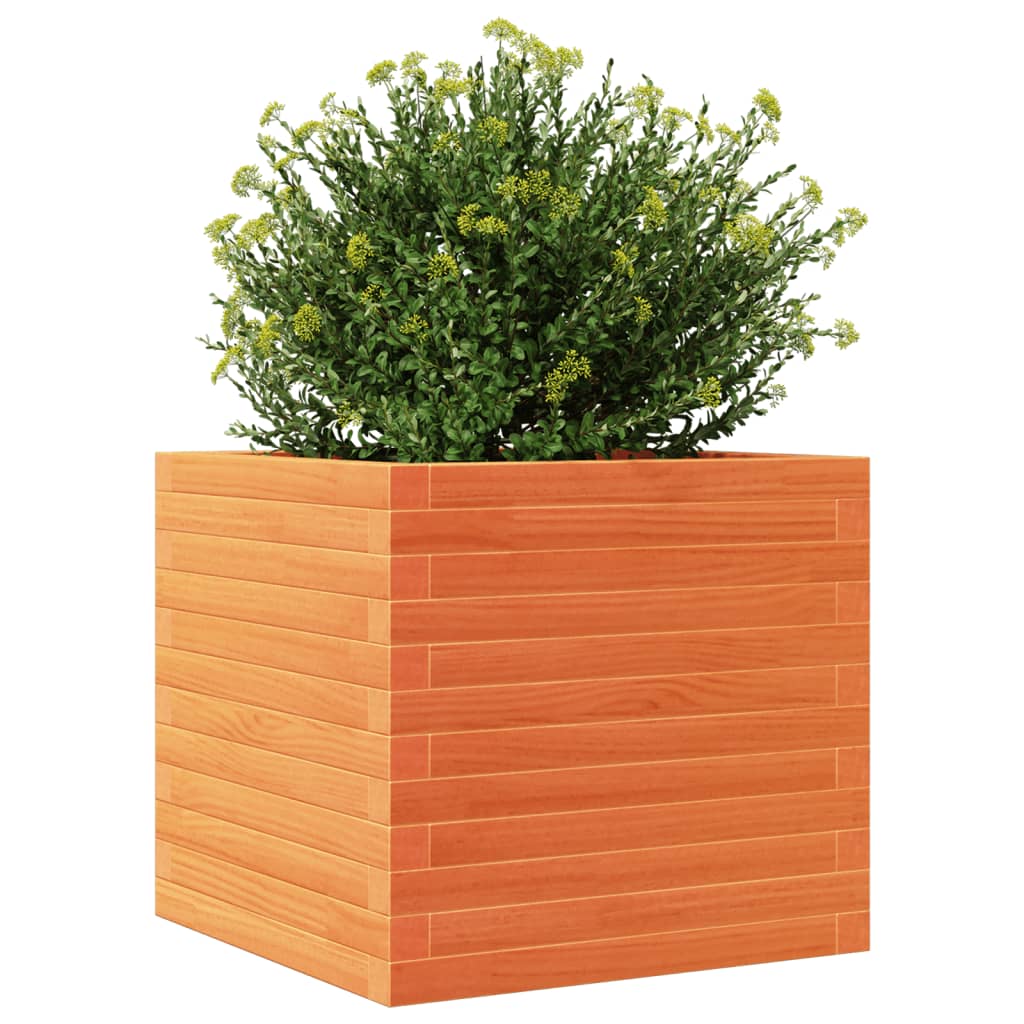 Plantenbak 50x50x46 cm massief grenenhout wasbruin is nu te koop bij PeponiXL, paradijselijk wonen!