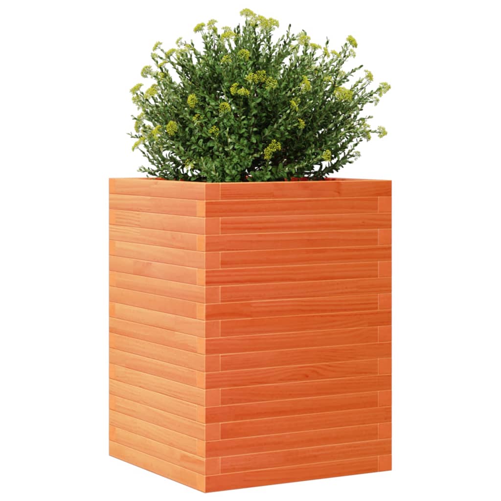 Plantenbak 50x50x68,5 cm massief grenenhout wasbruin is nu te koop bij PeponiXL, paradijselijk wonen!
