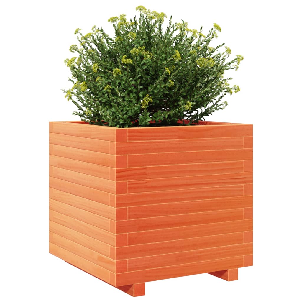 Plantenbak 50x50x49,5 cm massief grenenhout wasbruin is nu te koop bij PeponiXL, paradijselijk wonen!