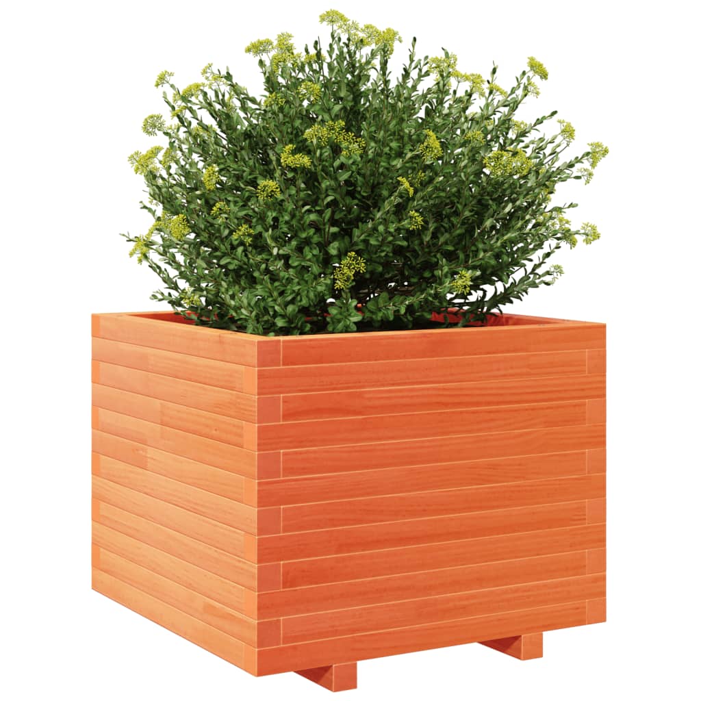 Plantenbak 60x60x49,5 cm massief grenenhout wasbruin is nu te koop bij PeponiXL, paradijselijk wonen!