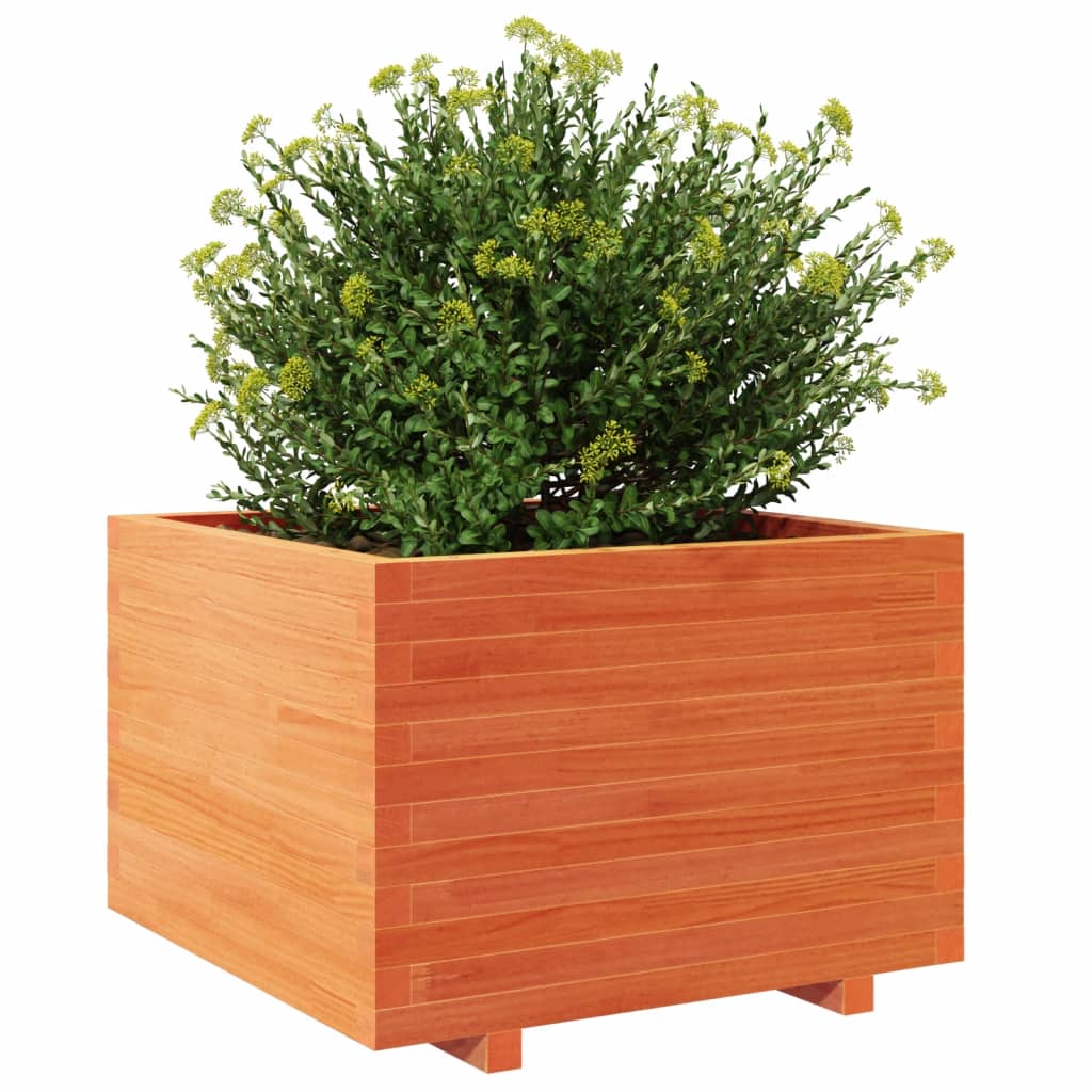 Plantenbak 70x70x49,5 cm massief grenenhout wasbruin is nu te koop bij PeponiXL, paradijselijk wonen!