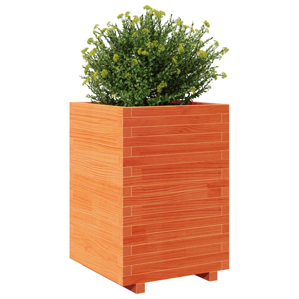 Plantenbak 50x50x72,5 cm massief grenenhout wasbruin is nu te koop bij PeponiXL, paradijselijk wonen!