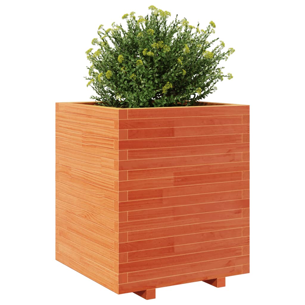 Plantenbak 60x60x72,5 cm massief grenenhout wasbruin is nu te koop bij PeponiXL, paradijselijk wonen!