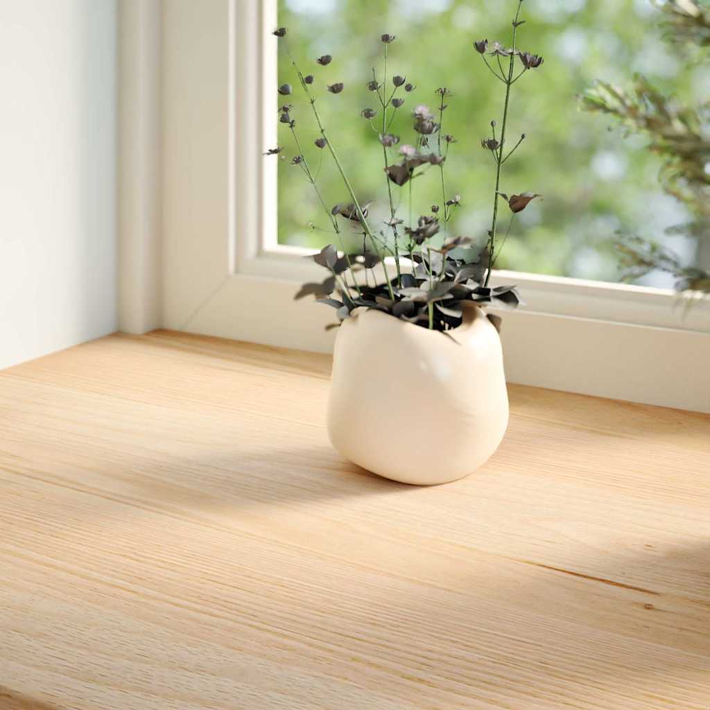 Vensterbanken 2 st onbehandeld 100x15x2 cm massief eikenhout is nu te koop bij PeponiXL, paradijselijk wonen!