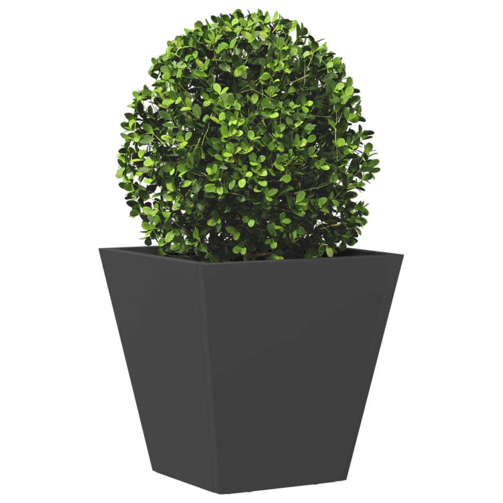 Plantenbakken 2 st 30x30x30 cm staal zwart is nu te koop bij PeponiXL, paradijselijk wonen!