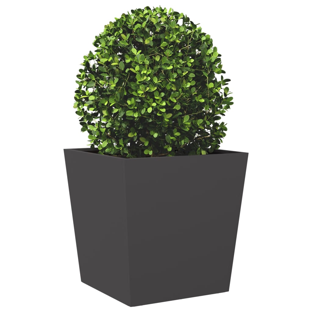 Plantenbakken 2 st 50x50x50 cm staal zwart is nu te koop bij PeponiXL, paradijselijk wonen!