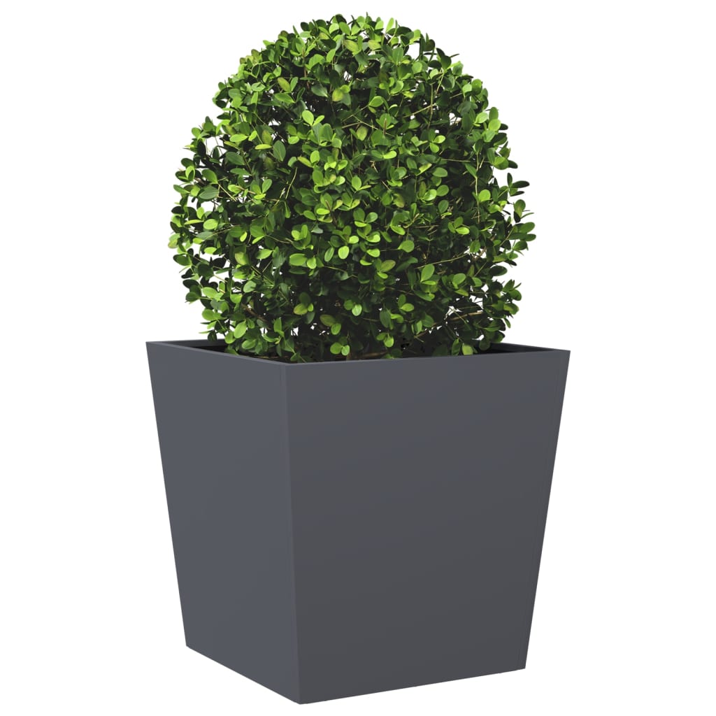 Plantenbakken 2 st 50x50x50 cm staal antracietkleurig is nu te koop bij PeponiXL, paradijselijk wonen!