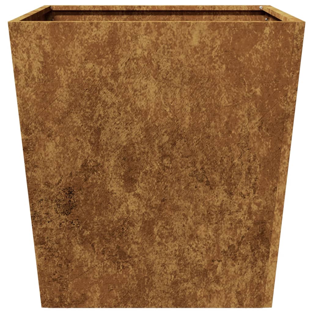Plantenbakken 2 st 50x50x50 cm weervast staal is nu te koop bij PeponiXL, paradijselijk wonen!