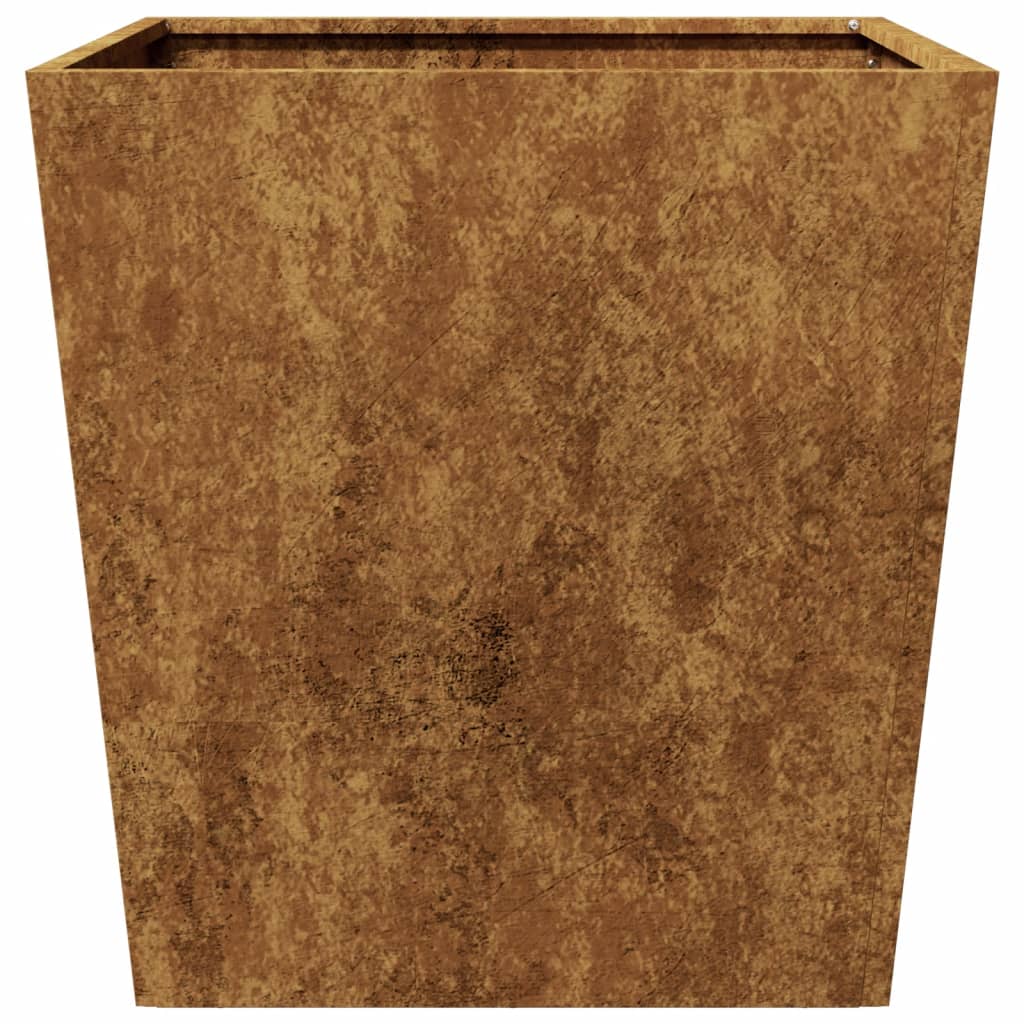 Plantenbakken 2 st 50x50x50 cm weervast staal is nu te koop bij PeponiXL, paradijselijk wonen!