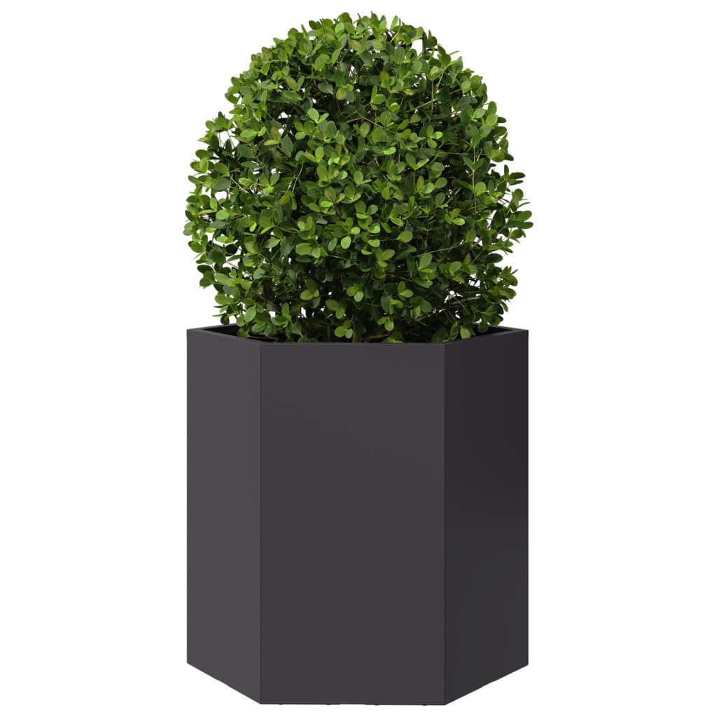 Plantenbak zeshoek 46x40x45 cm staal zwart is nu te koop bij PeponiXL, paradijselijk wonen!