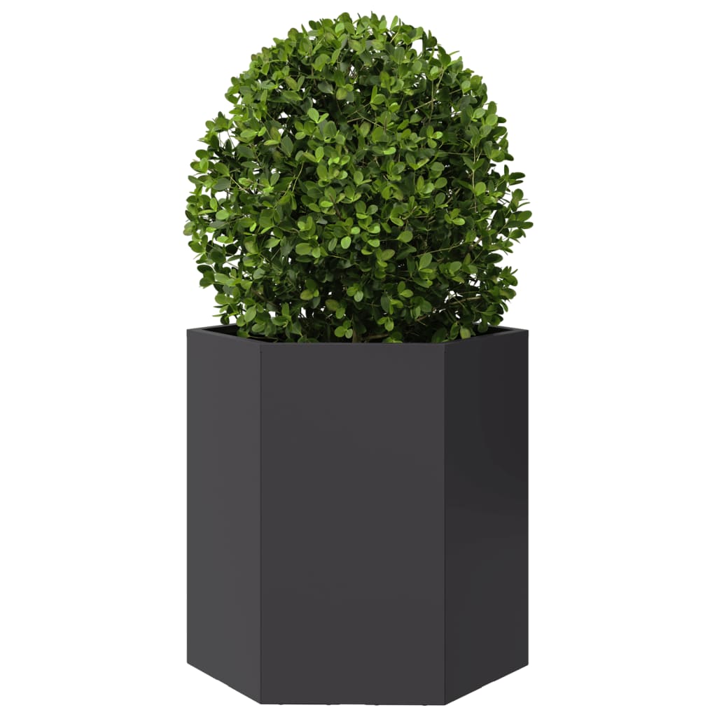 Plantenbakken 2 st zeshoek 46x40x45 cm staal zwart is nu te koop bij PeponiXL, paradijselijk wonen!
