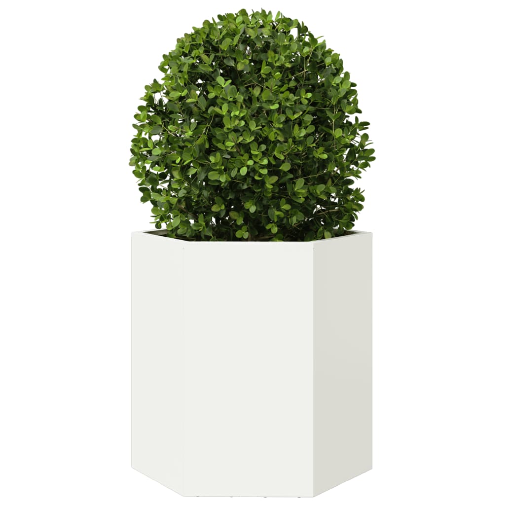 Plantenbakken 2 st zeshoek 46x40x45 cm staal wit is nu te koop bij PeponiXL, paradijselijk wonen!