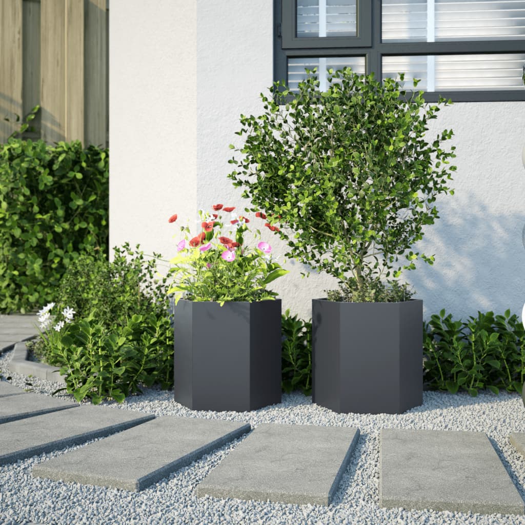 Plantenbakken 2 st zeshoek 46x40x45 cm staal antracietkleurig is nu te koop bij PeponiXL, paradijselijk wonen!