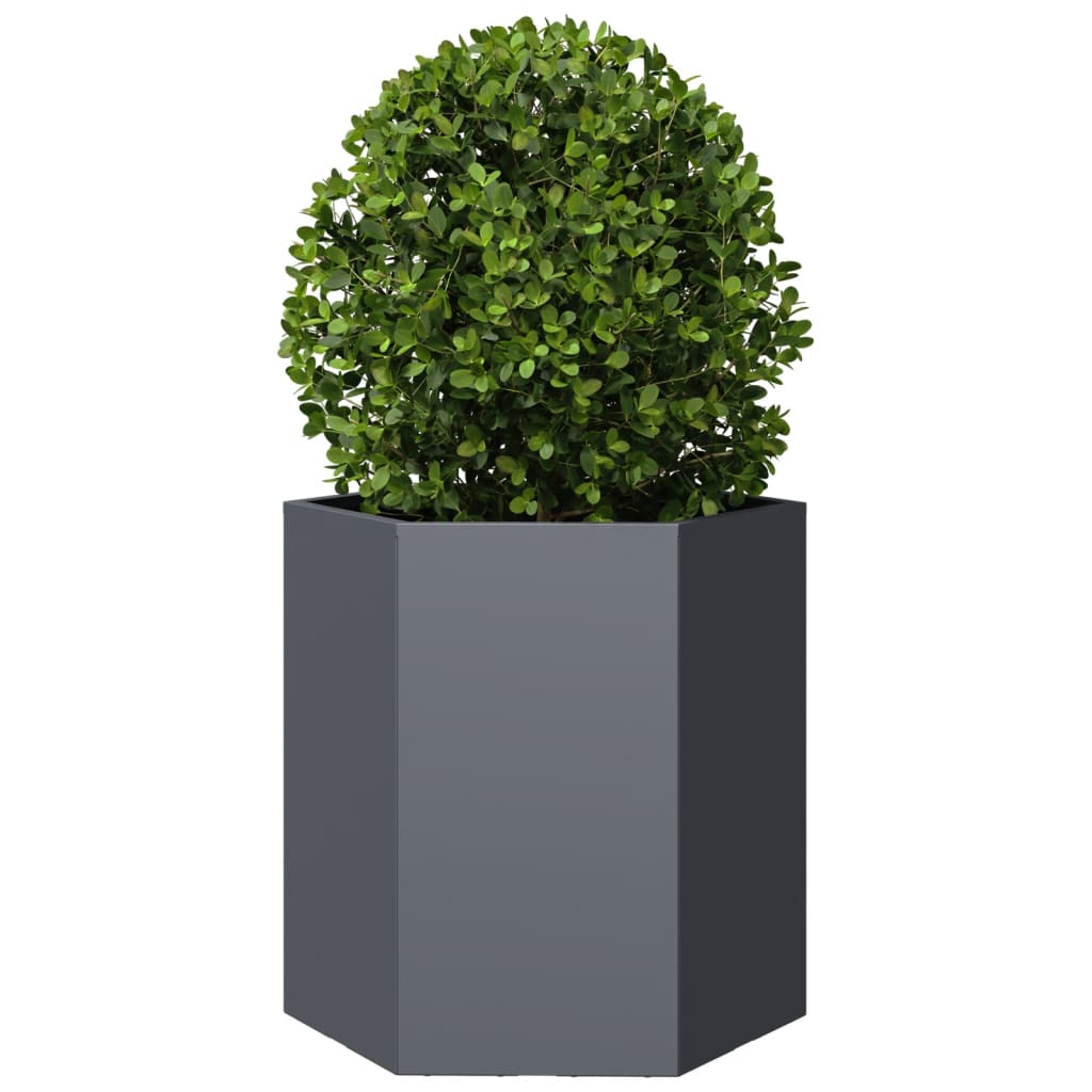 Plantenbakken 2 st zeshoek 46x40x45 cm staal antracietkleurig is nu te koop bij PeponiXL, paradijselijk wonen!