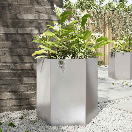 Plantenbak zeshoek 46x40x45 cm roestvrijstaal is nu te koop bij PeponiXL, paradijselijk wonen!