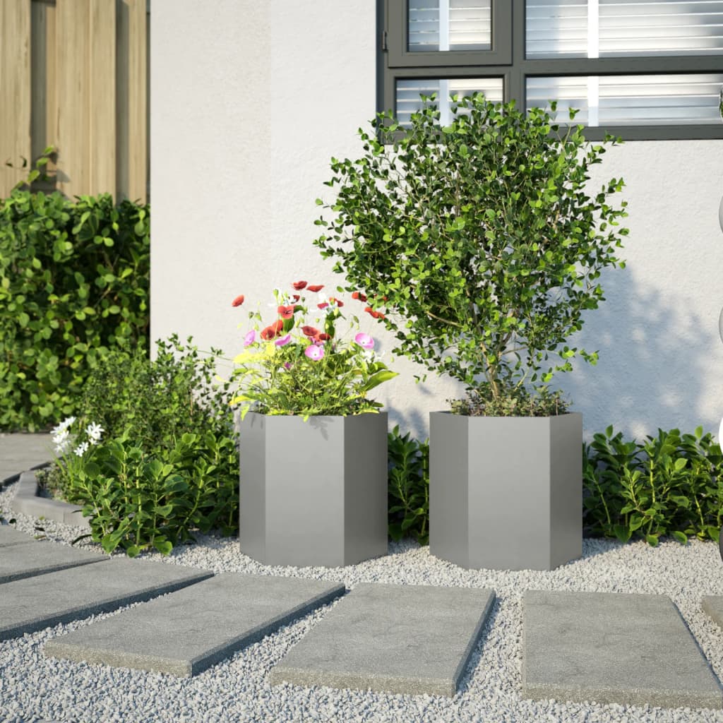 Plantenbakken 2 st zeshoek 46x40x45 cm roestvrijstaal is nu te koop bij PeponiXL, paradijselijk wonen!