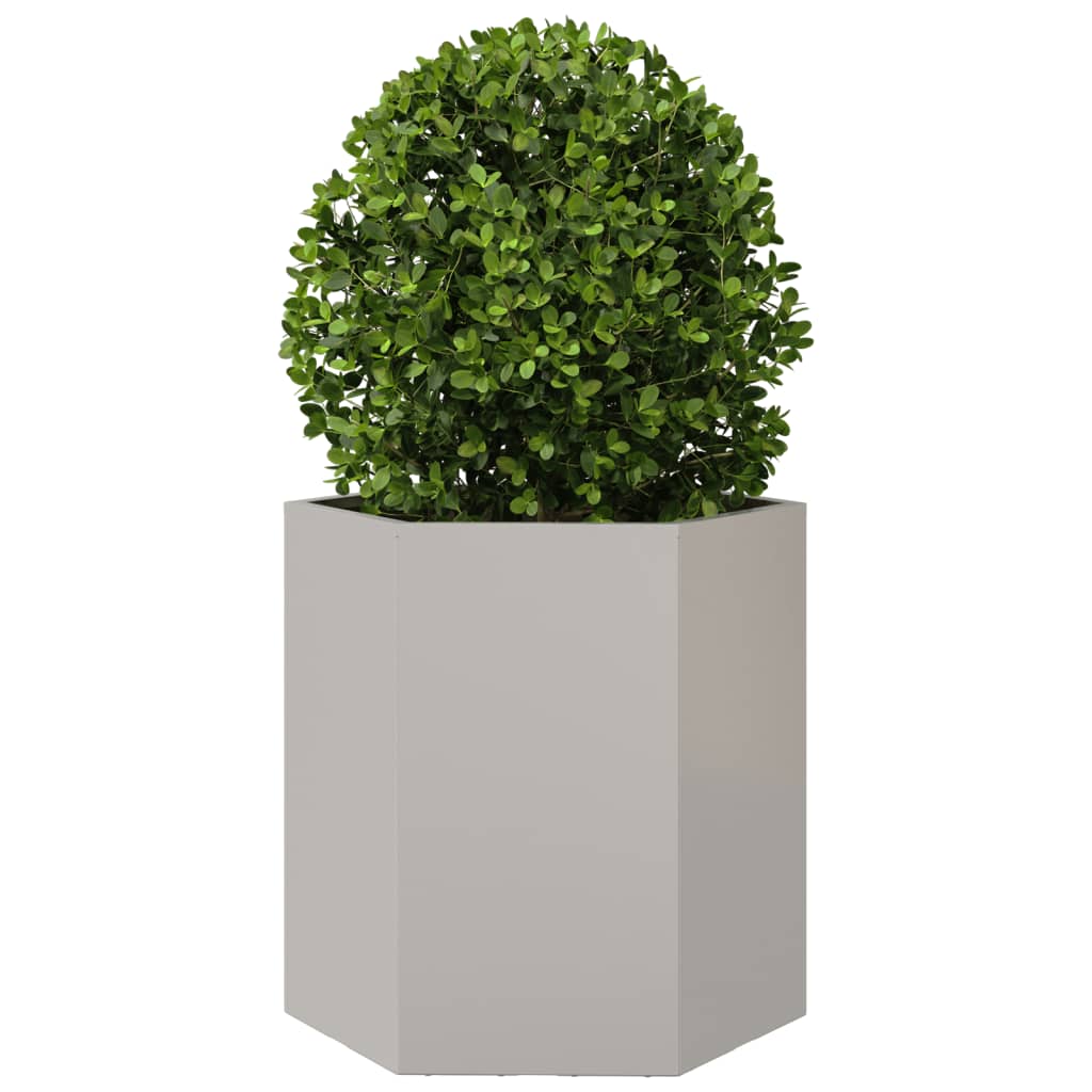 Plantenbakken 2 st zeshoek 46x40x45 cm roestvrijstaal is nu te koop bij PeponiXL, paradijselijk wonen!
