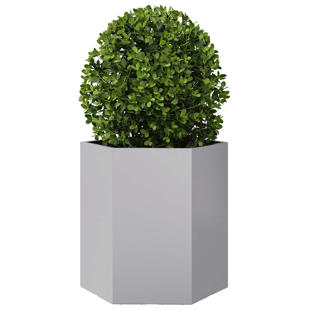 Plantenbak zeshoek 46x40x45 cm gegalvaniseerd staal is nu te koop bij PeponiXL, paradijselijk wonen!
